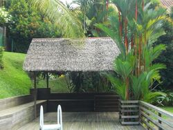 Raffles Park (D11), Detached #564194371
